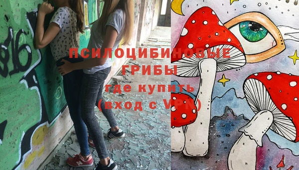 дживик Липки