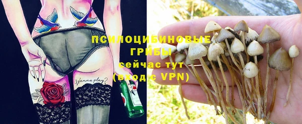 дживик Липки